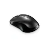 Rapoo Wireless Mouse 1620, Comfortable Elongated Design - Black Rapoo Wireless Mouse 1620, Comfortable Elongated Design - Black