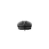 Rapoo Optical Mouse N200, High resolution 1600 DPI Sensor - Black Rapoo Optical Mouse N200, High resolution 1600 DPI Sensor - Black