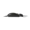 Rapoo Keyboard Combo, NX2000, Spill-Resistant keyboard and Mouse Design - Black Rapoo Keyboard Combo, NX2000, Spill-Resistant keyboard and Mouse Design - Black