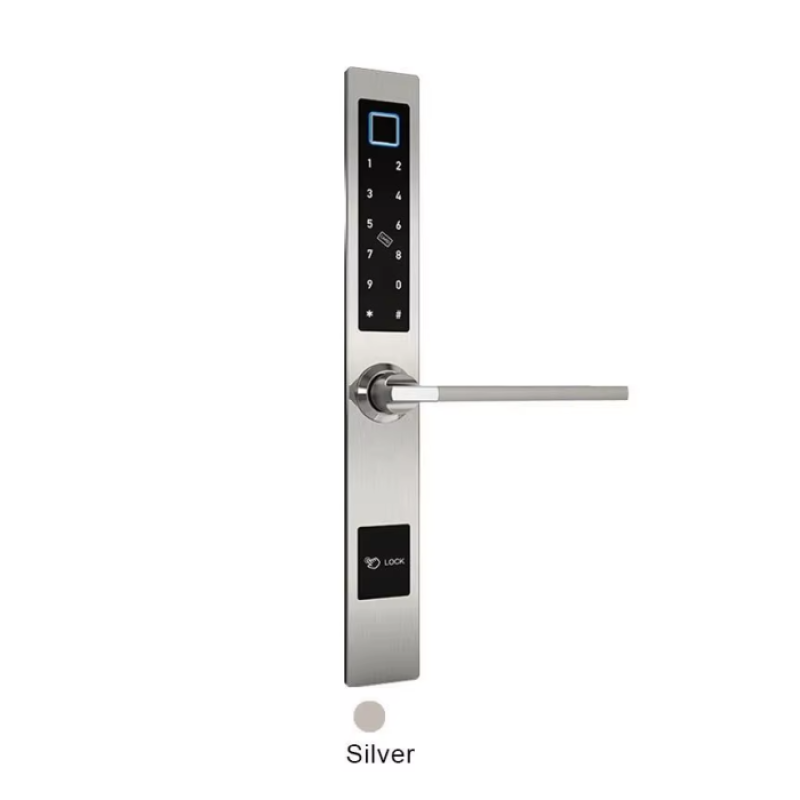 Levana 1019ZM Smart Lock, Aluminum Alloy - Silver